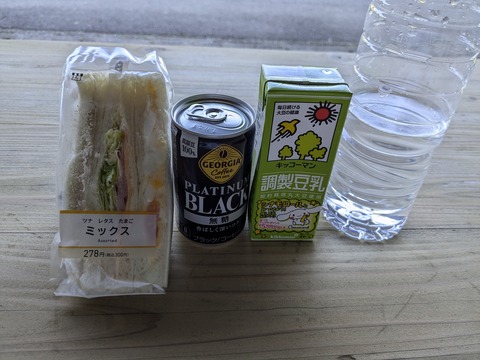 PXL_20241120_023426465