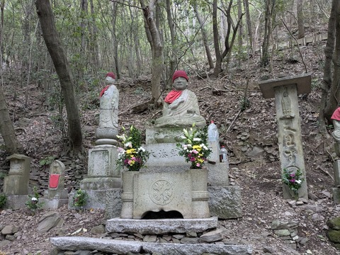 PXL_20251111_235611389