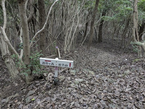 PXL_20250928_030154250