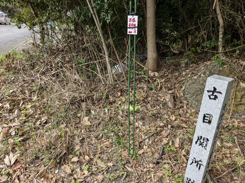 PXL_20241121_001137326