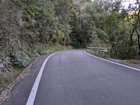 PXL_20241120_000905617