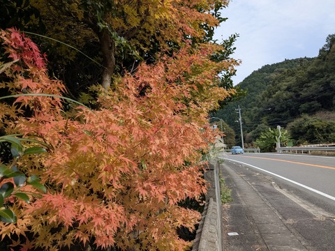 PXL_20251102_035643563