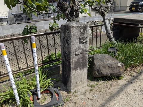 PXL_20250427_012022624