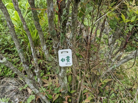 PXL_20240424_020537478