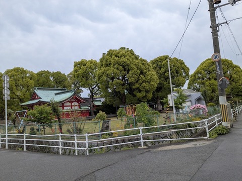 PXL_20250428_053450998