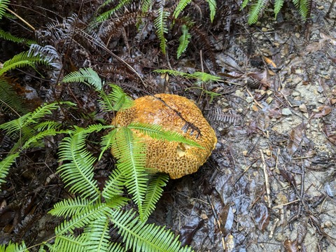 PXL_20241023_003607407