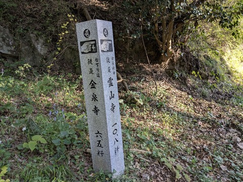 PXL_20251115_002241303