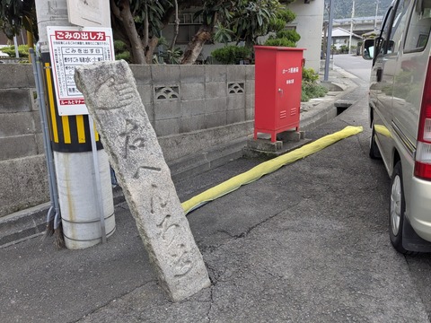 PXL_20251101_222639556