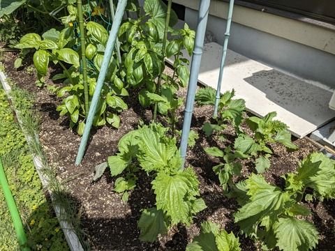 PXL_20240608_002435416