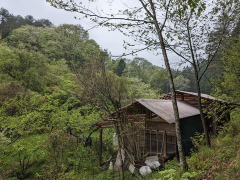 PXL_20240426_231707584.MP