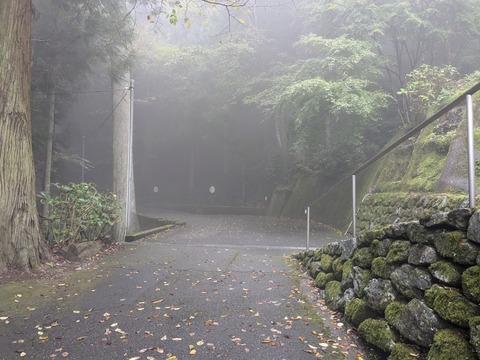 PXL_20241026_023214753