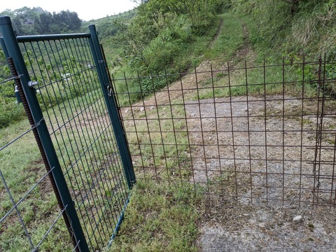 PXL_20240425_213807423