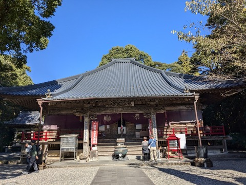 PXL_20241122_023039185