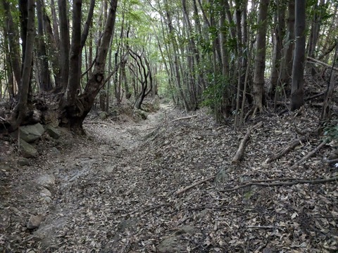 PXL_20241122_072243940