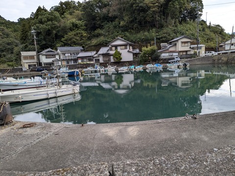 PXL_20241121_011011166