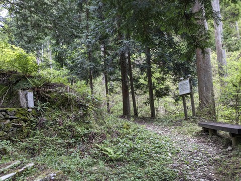 PXL_20240426_052634446