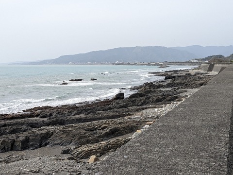 PXL_20240330_045841588