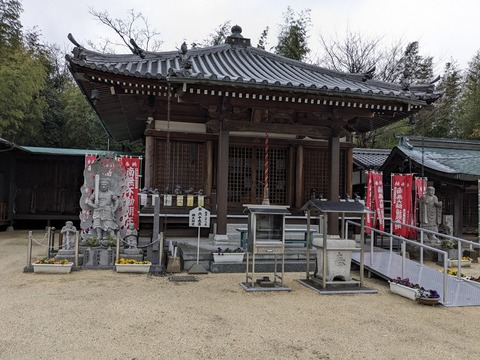 PXL_20240223_003957299