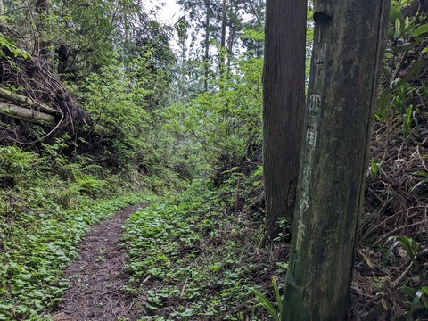 PXL_20240426_214648295