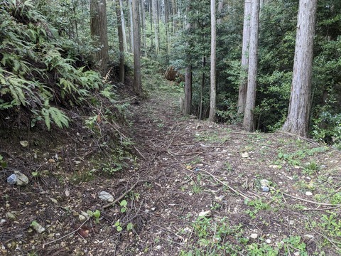 PXL_20240425_214940801