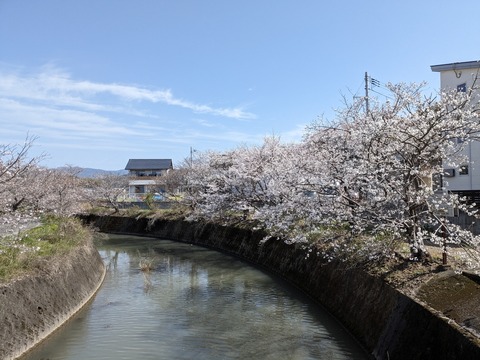 PXL_20240331_011329652