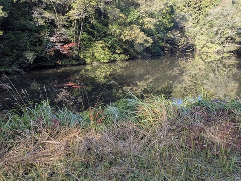 PXL_20251114_003059850