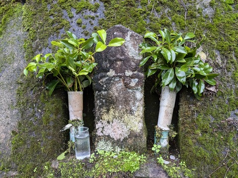 PXL_20241025_231312447