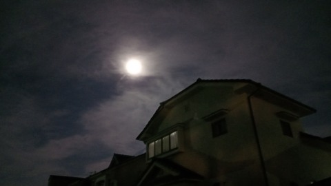 IMG_20230929_205821_447