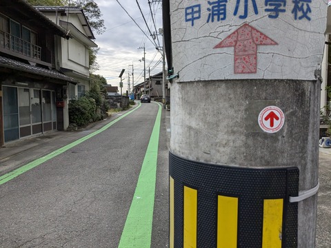 PXL_20241121_012309747