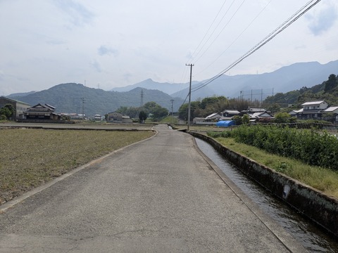 PXL_20250501_015127078