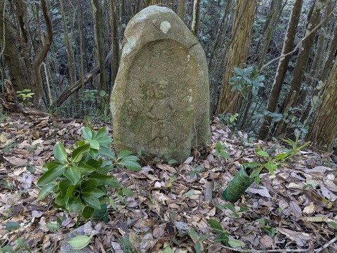 PXL_20251114_003619001