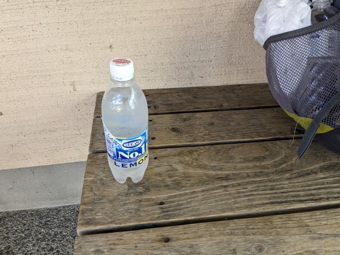 PXL_20240329_062635754