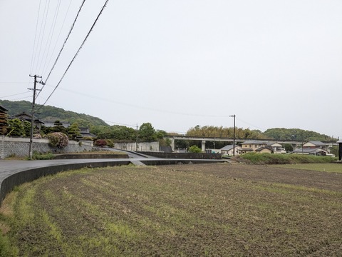 PXL_20250428_044914330