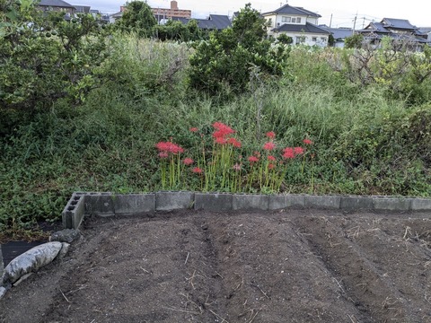 PXL_20240922_210519613