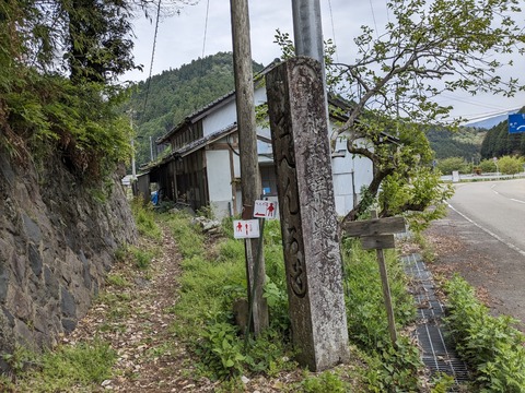 PXL_20240426_043302611