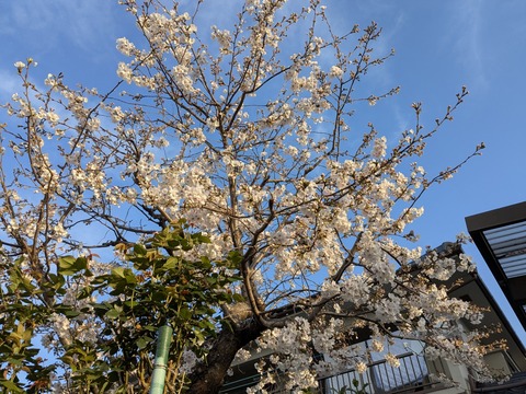 PXL_20250330_214325397