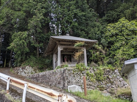 PXL_20240426_043510108