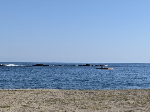 PXL_20241120_051619584