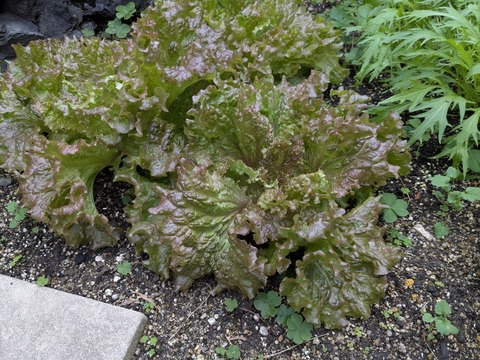 PXL_20251128_070121614