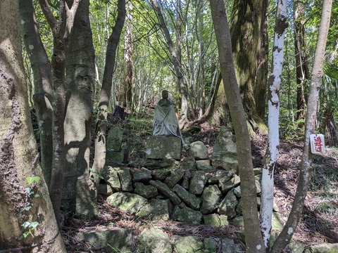 PXL_20240425_004620365