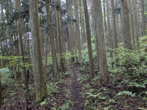 PXL_20240427_035255697