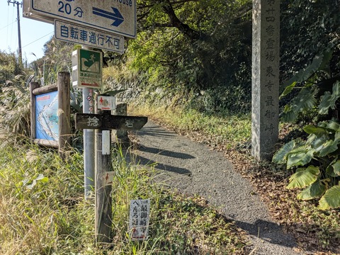 PXL_20251124_021525488