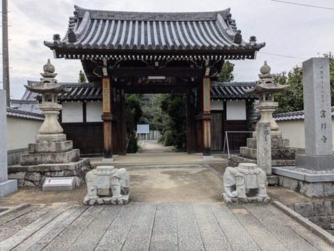 PXL_20241025_063951939