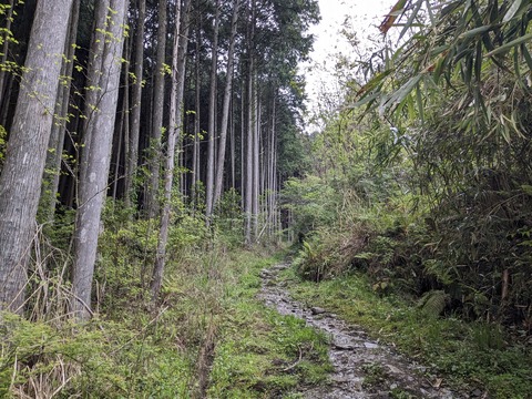 PXL_20240426_212107738