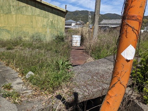 PXL_20240329_030931057