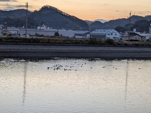 PXL_20251215_220625895