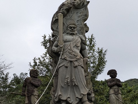 PXL_20241022_034828899