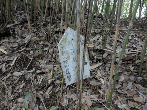 PXL_20250928_023449419