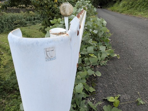 PXL_20251102_014514278