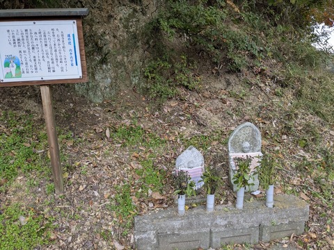 PXL_20251113_050721342